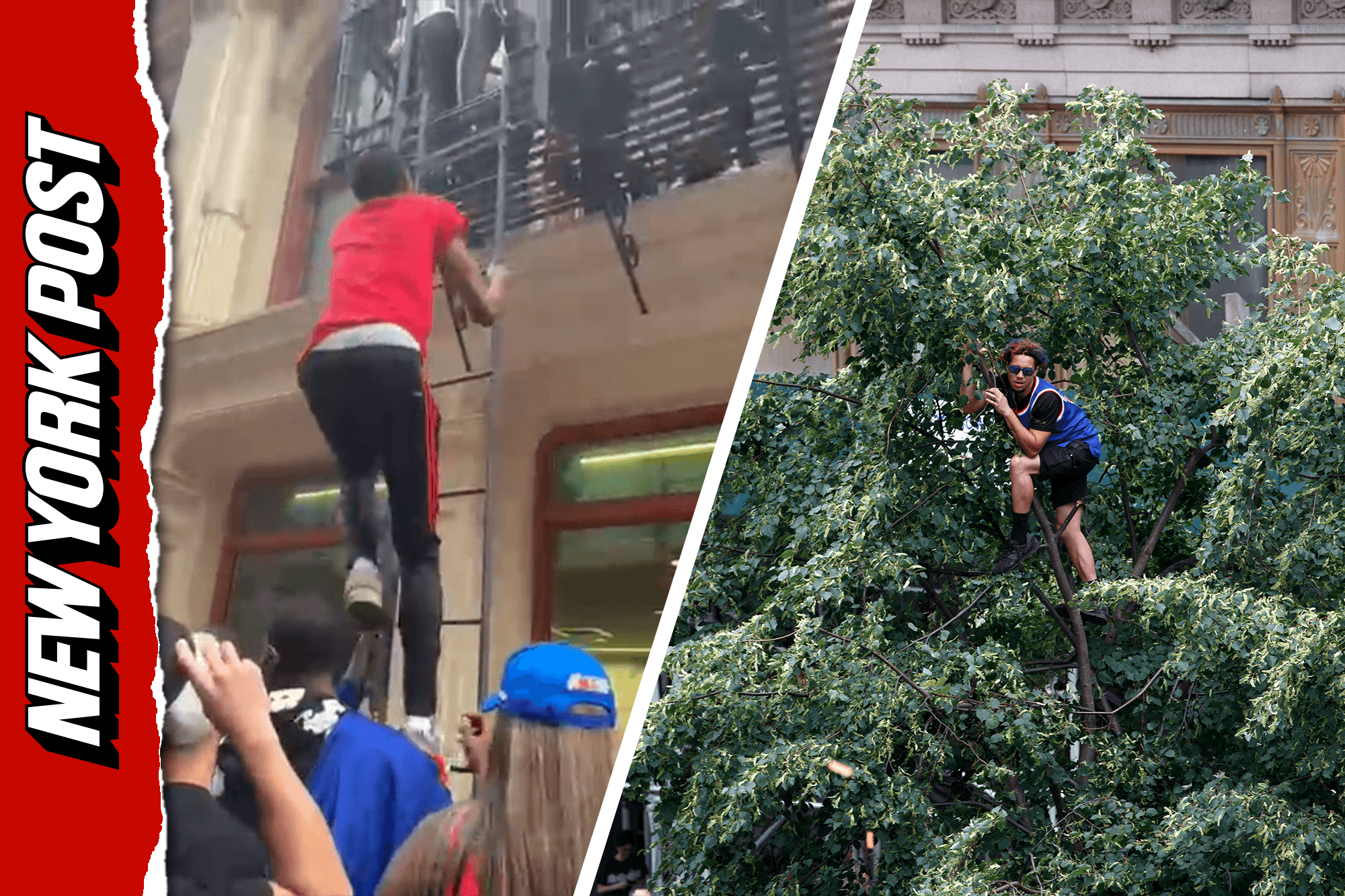 Fans crowd onto scaffolding, climb fire escapes desperate to see view of historic Knicks parade