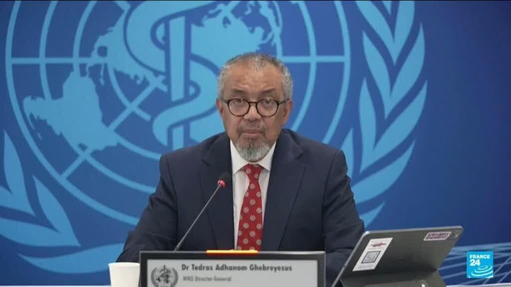 More hantavirus cases possible after cruise ship outbreak, says World Health Organisation