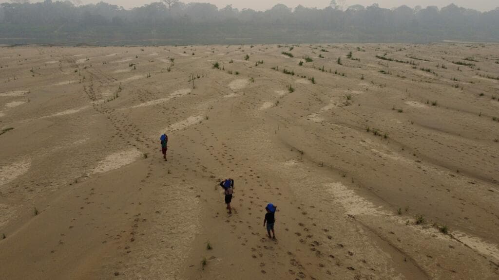 Global temperatures likely to remain at record levels in 2026-2030, UN says