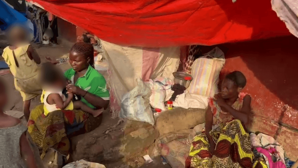 ‘We're asking for our husbands' salaries’: The plight of soldiers' widows in eastern DR Congo