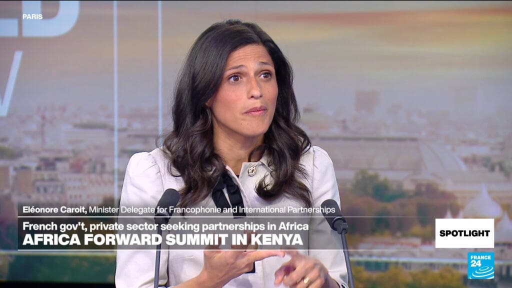 Ahead of Nairobi summit, France highlights youth, innovation and 'huge diaspora' investing in Africa