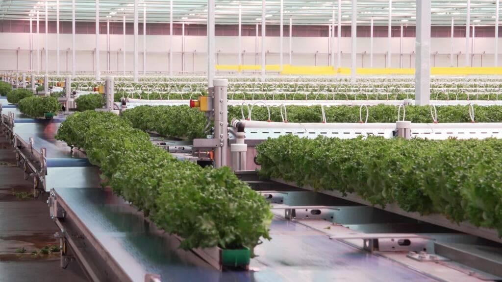 Canada's Ontario bets on greenhouse farming to boost food sovereignty