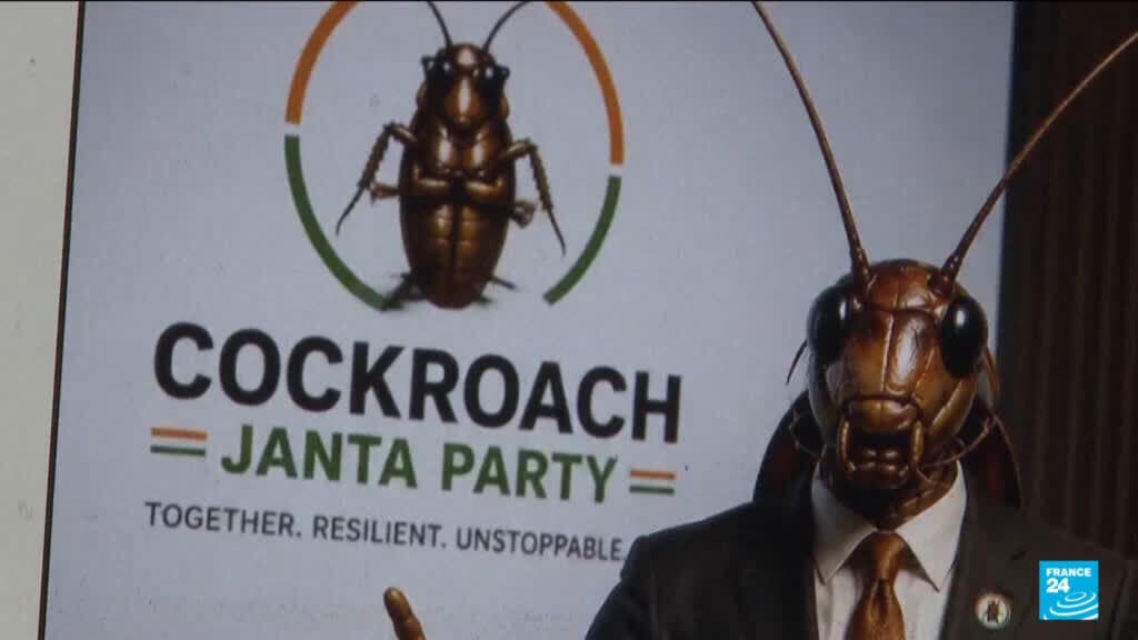 India's 'Cockroach Party' chief flies to New Delhi for protest