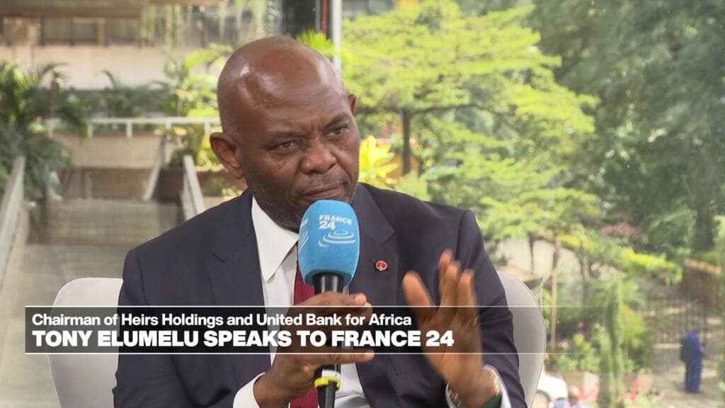 Chairman of United Bank for Africa: 'We need to fix our problems ourselves'