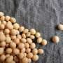 Why many fungicide-treated soybean seeds may boost harvests but not farm profits