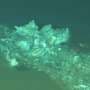 A 5.3-million‑year‑old whale graveyard has been found on the floor of the Indian Ocean