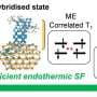 Supercharging solar cells: Quantum dot-molecule hybrid states enable near-maximum efficiency