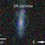 A giant star may have destroyed itself in one of the universe's rarest explosions
