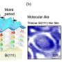 Bidirectional manipulation of gate-free quantum electronic states via semiconductor interface engineering