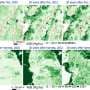 Biologists improve biomass mapping tools to better track carbon storage