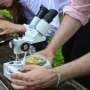 Q&A: Most biology education guidelines lack any connection to society, researchers explain why that's a problem
