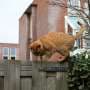 How you can stop your cat from bringing home unwelcome pathogens