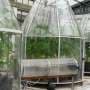 Climate change boosts soybean production but worsens bean quality