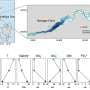 Climate change: How oxygen deficiency changes metabolic processes in the ocean