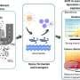 Climate change to alter sea-land breeze and increase ozone pollution in Barcelona