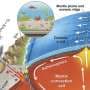 Earth's oxygen-rich atmosphere may owe its existence to cold subduction