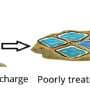 Concerns over camper wastewater chemicals in regional wastewater systems