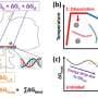 DNA assembly insights could streamline design and manufacturing of nanostructures for medicine, materials and more