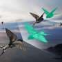 Why birds ignore Newton: New theory could sharpen models of flocks, crowds and cells