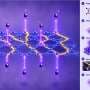 Quantum witness technique reveals spinons in quantum spin liquid candidate