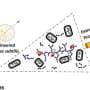 Engineered bacterium turns potato starch into biodegradable plastic in 24 hours