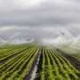 To achieve 'AI for all' in agriculture, Canada's farmers need regional, systems‑level change
