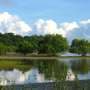 Fragmented environmental policies risk costly failures, experts warn