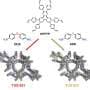 From pore chemistry to carbon capture, new COFs push beyond membrane performance limits