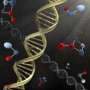 Silver nanoparticles pave the way for precise DNA cutting and joining