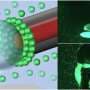 Gold-coated optical fiber rapidly gathers microscopic targets for faster, more sensitive detection