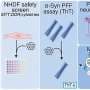Graphene quantum dots show promise in targeting Parkinson's-related protein clumping