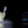 Ocean glow meets 3D printing with living gels that sense mechanical force
