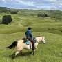 Horse owners' personality and attachment style shape how they interact with and care for their horses