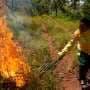 In Brazil's Cerrado region, Indigenous fire practices reshape wildfire strategy