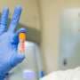 Lab-grown canine muscle cells offer solution for early therapeutic testing