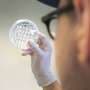 Making climate-neutral plastics and cosmetics using bacteria
