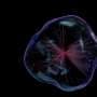 New 'AI scientists' are improving—but reveal their fundamental limits