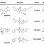 TriPcides target MRSA, suppress infection and kill dormant bacteria to open a new front against antibiotic resistance