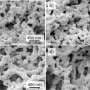 'Permanently wet' coating method could transform wastewater treatment by helping bacteria survive better