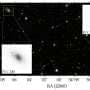 Possible dark matter-deficient twins discovered in the Fornax Cluster