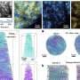 Nanoengineered materials can store and release hydrogen at room temperature