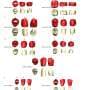 Payre fossils from Europe's earliest Neanderthals reveal dynamic evolution shaped by climatic oscillations