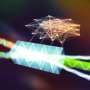 AI surrogate accelerates nonlinear optics simulations by orders of magnitude