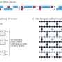 Quantum circuits help AI overcome memory limitations with minimal new parameters