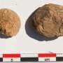 Rare 500-year-old freeze-dried potatoes unearthed at Inca coastal site
