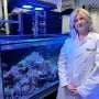 Researchers unveil new AI-driven system set to transform coral reef restoration