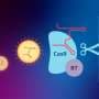 Scientists improve nearly every aspect of prime editing, moving it closer to treating more genetic diseases