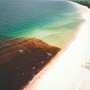 Atlantic seaweed blooms may be predictable, opening path to carbon removal and biofuels