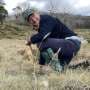 Seeds under pressure: New study reveals how climate change threatens Victoria's alpine plant populations