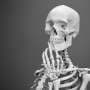 Modern human skeletal biology needs to move beyond the strict male/female binary, scientists argue